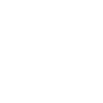 Vigilante Symbol White
